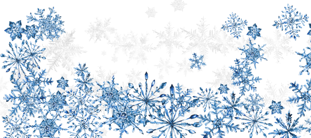 Madagascar International Business -MIB