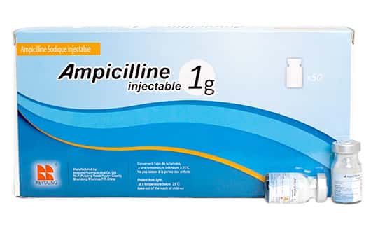 AMPICILLINE UBI 1G PDRE SOL INJ 7ML B/50