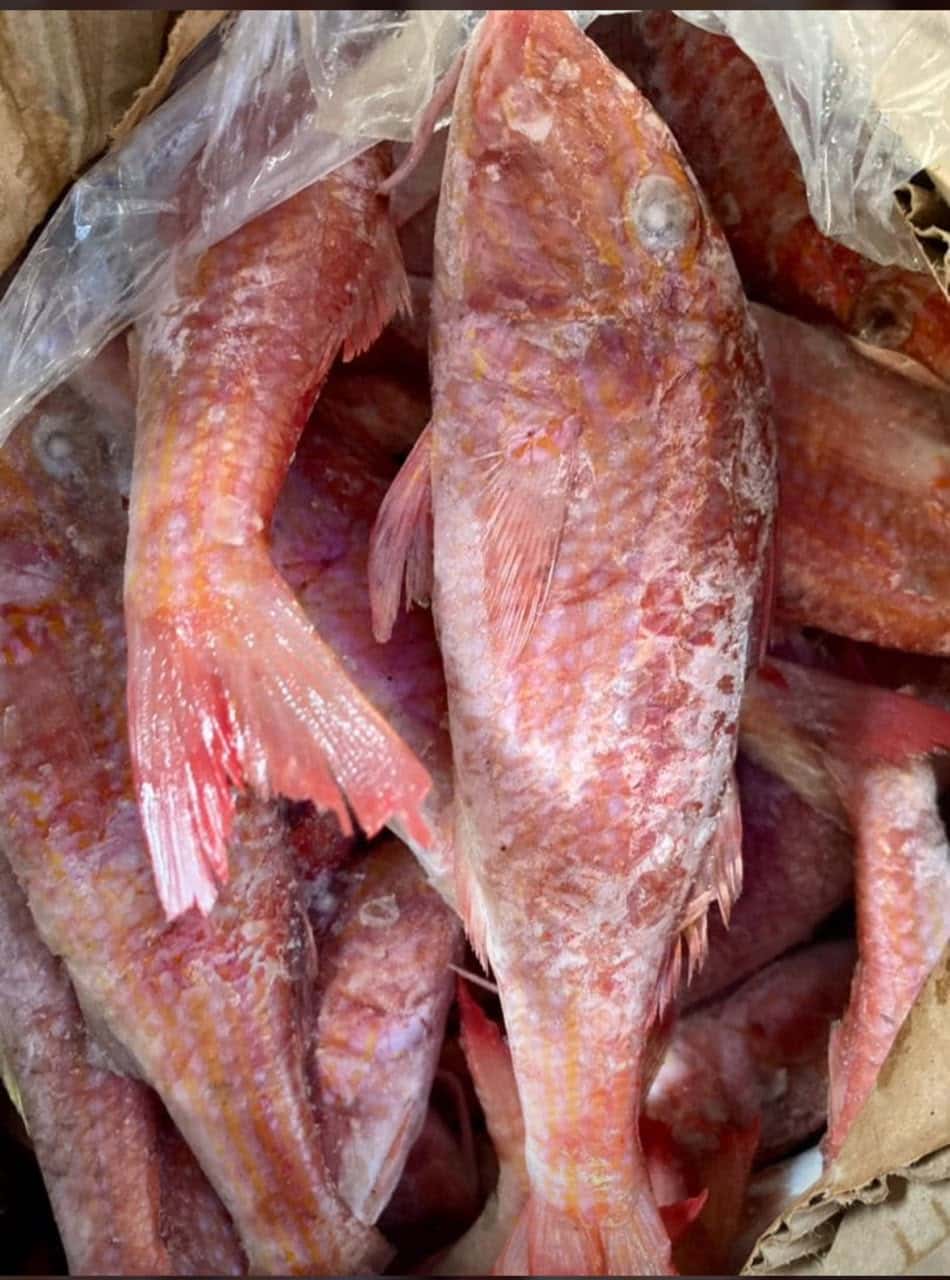 Rouget Frais (Au Kilo)