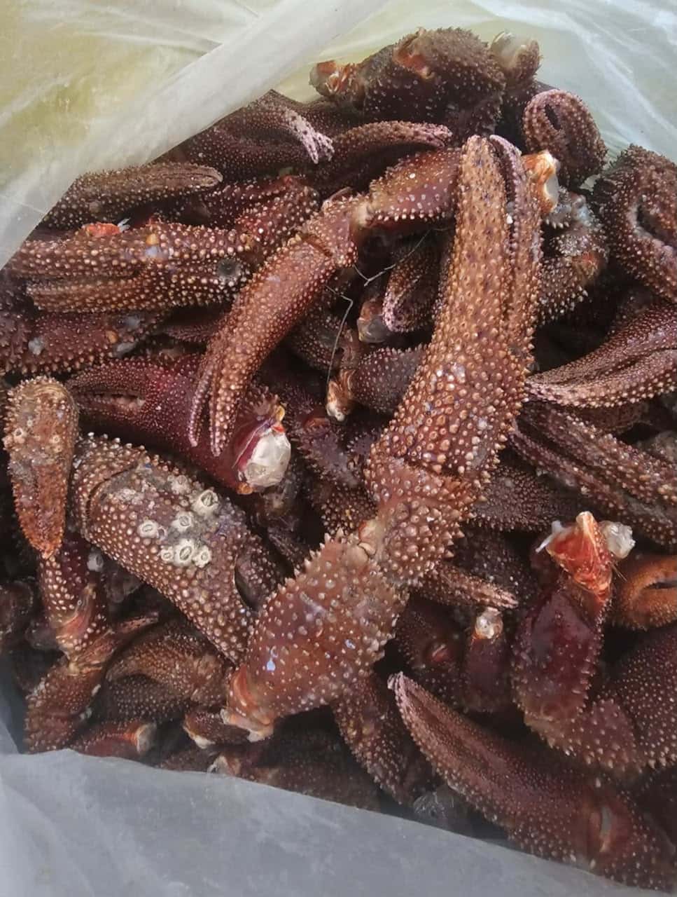 Pinces de Crabe Fraîches – Au Kilo