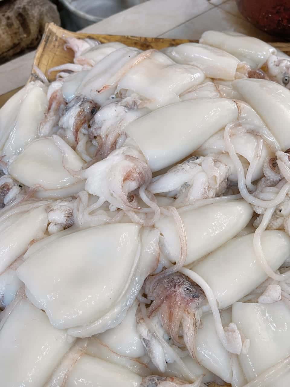 Seiches Fraîches / Calamars Frais (le kg)