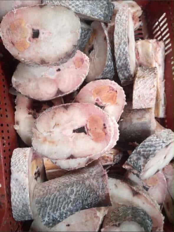 Barracuda frais (Seud) coupé en darnes – Prix au kilo