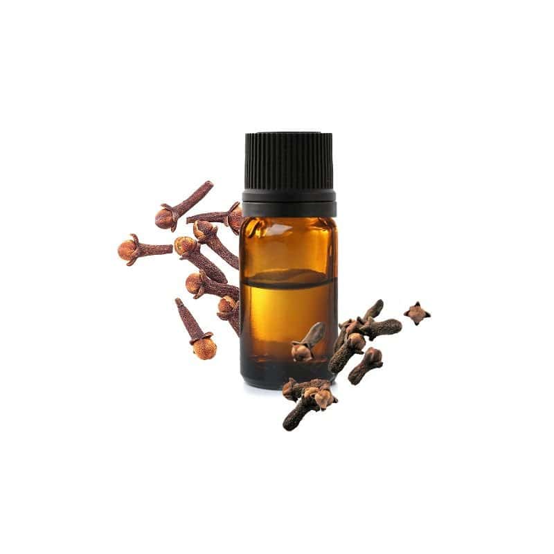 BAIN DE BOUCHE GIROFLE